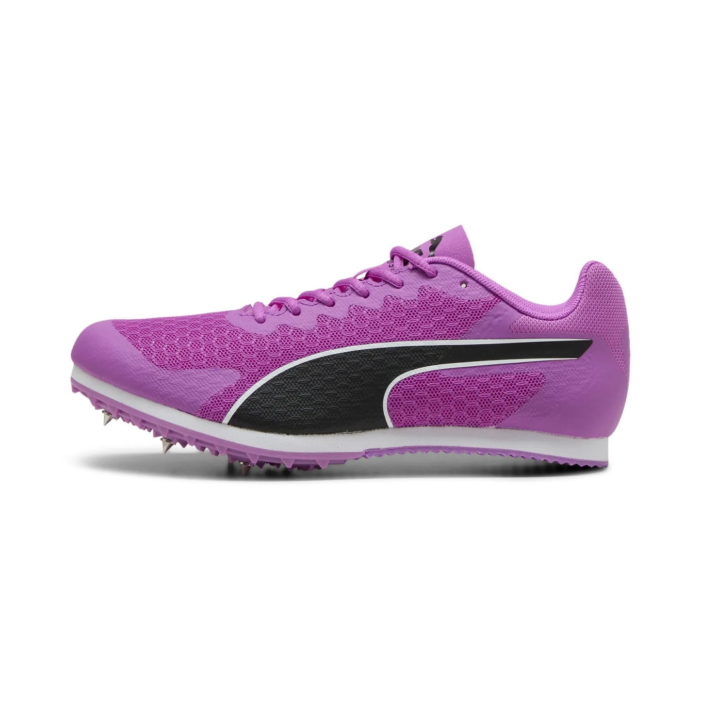 ASC Spikes 2025 lila