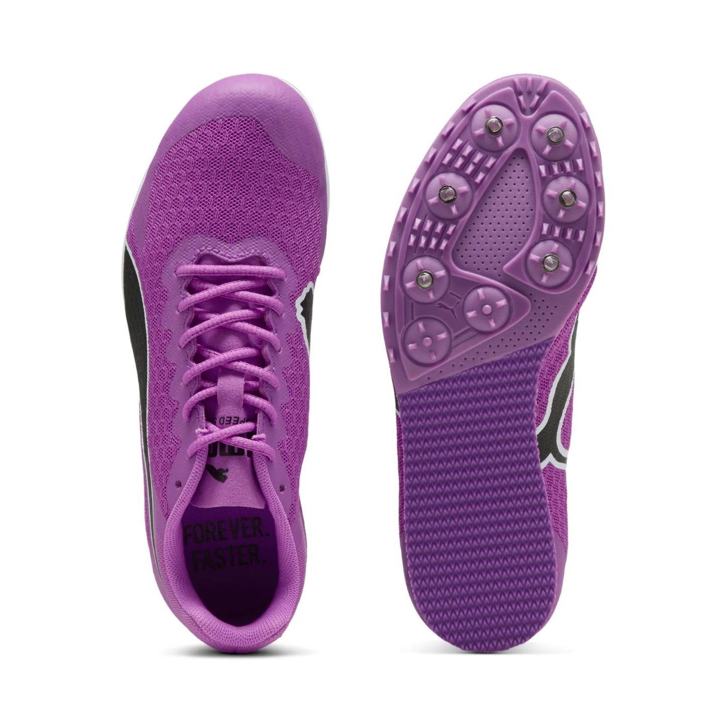 ASC Spikes 2025 lila