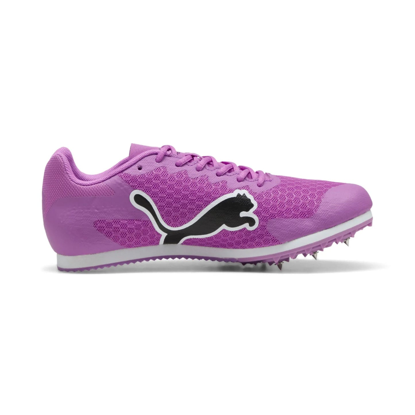 ASC Spikes 2025 lila