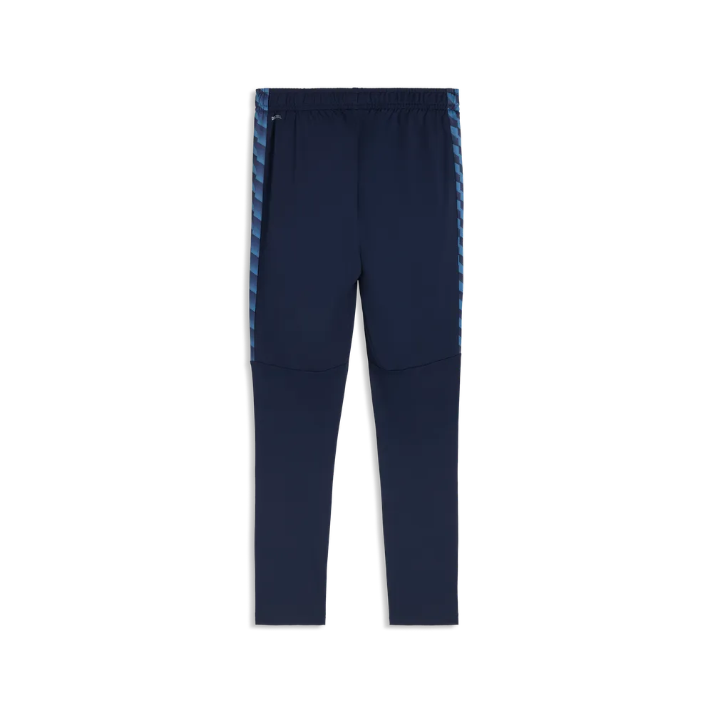 PUMA DSW21 Trainingspants navyblau